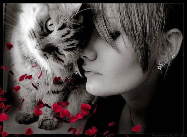 chat avec femme